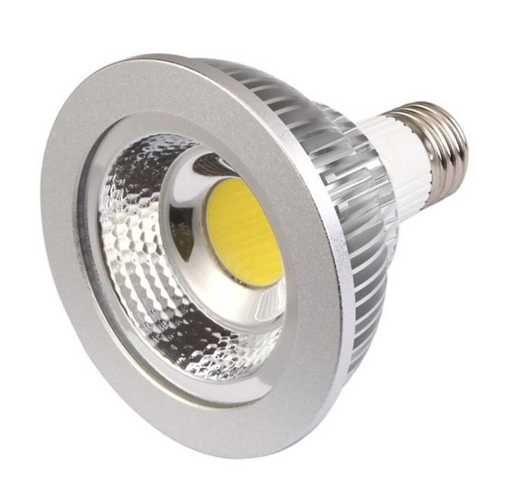 PAR30 10W COB LED Spot light