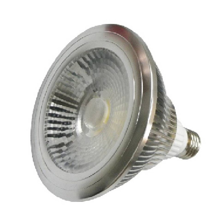 PAR30 10W COB LED Spot light