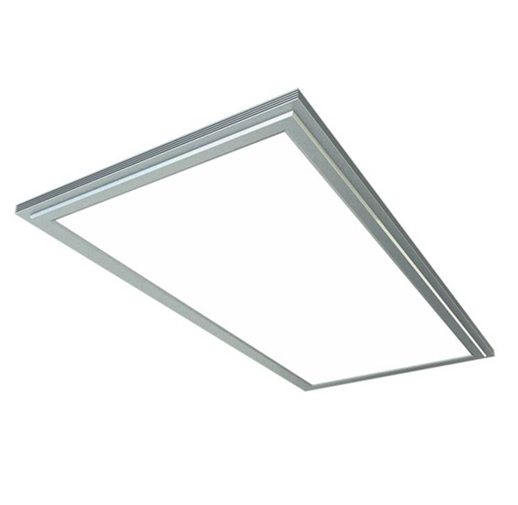 Side Lit LED Panel Light 22W 60x30