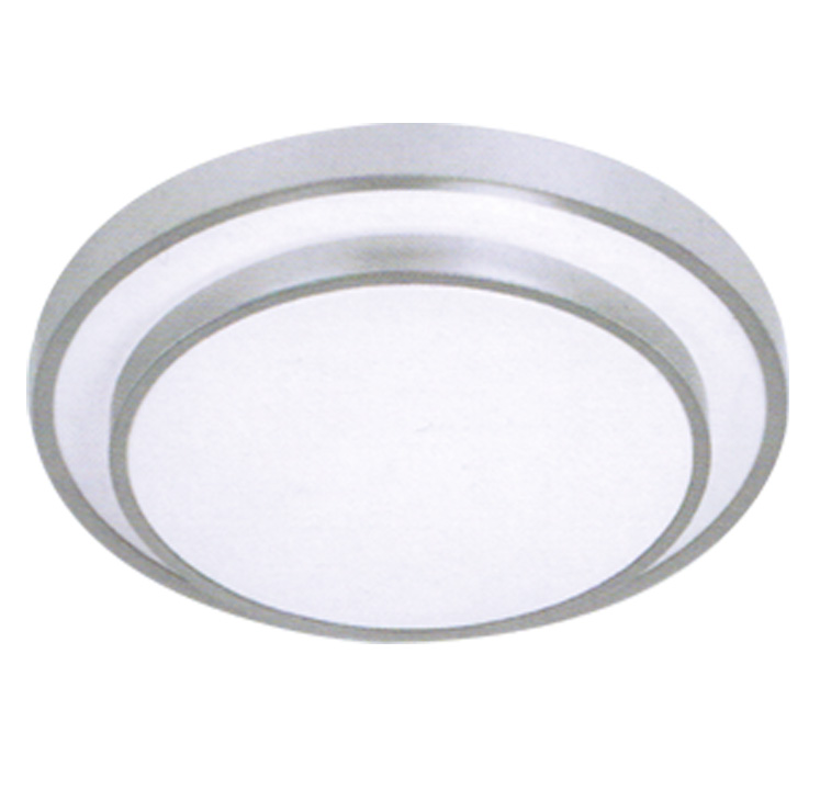 LED Ceiling Light