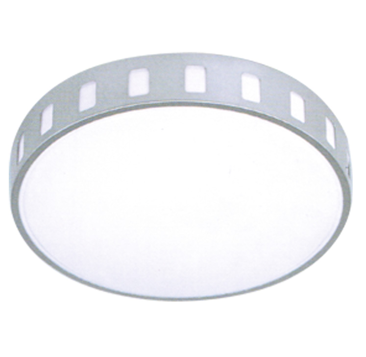 LED Ceiling Light