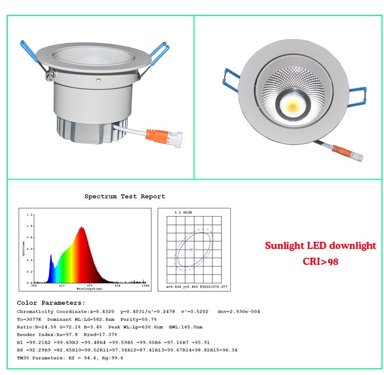 Sunlight LED Downlight RA98