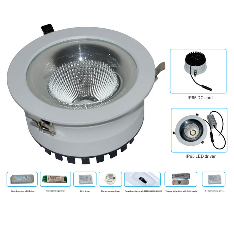 RA98 IP65 LED Down Light