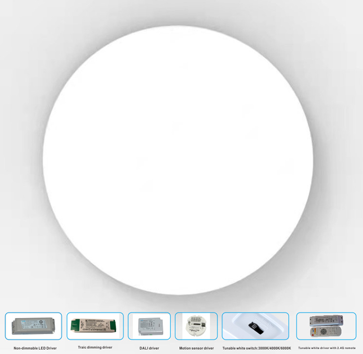 DALI DT8 Tunable White Round LED Ceiling Light