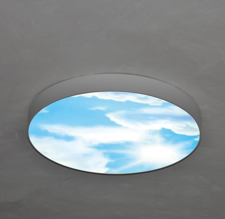 Flush Mounted Round LED Ceiling Light