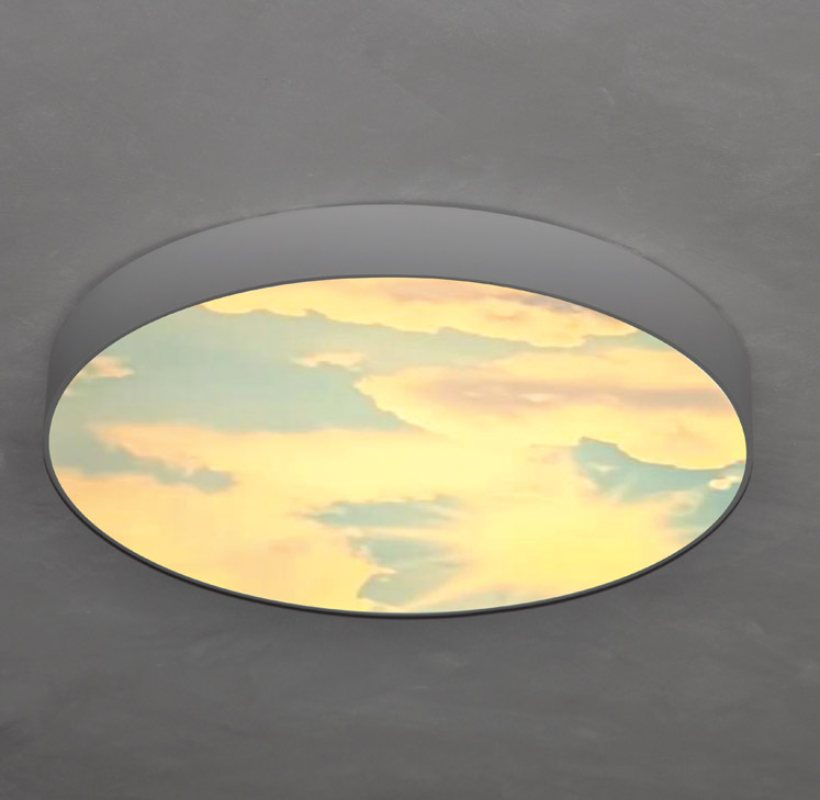Flush Mounted Round LED Ceiling Light